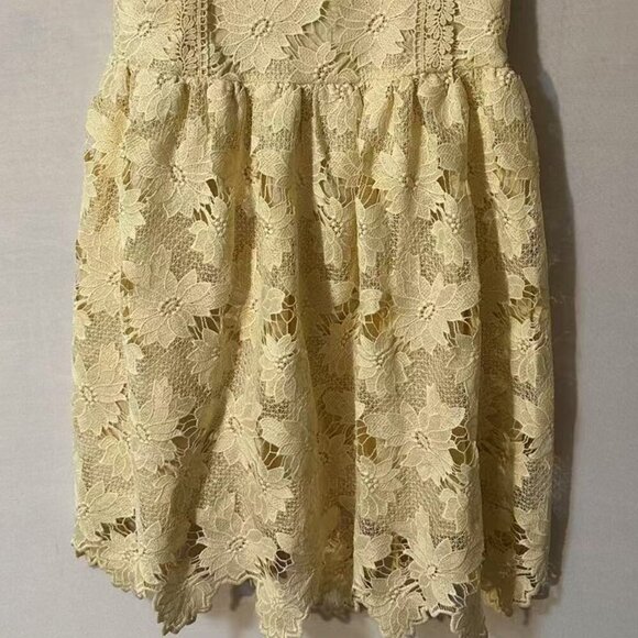 Girls Birthday Wedding & Flower Sleeveless A-Line Lace Party Dress  (11/12Years） - Picture 2 of 12